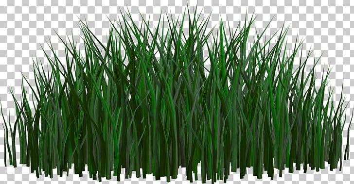 Grass Sharing Desktop Wallpaper PNG, Clipart, Commodity, Communication Channel, Computer Graphics, Desktop Wallpaper, Download Free PNG Download