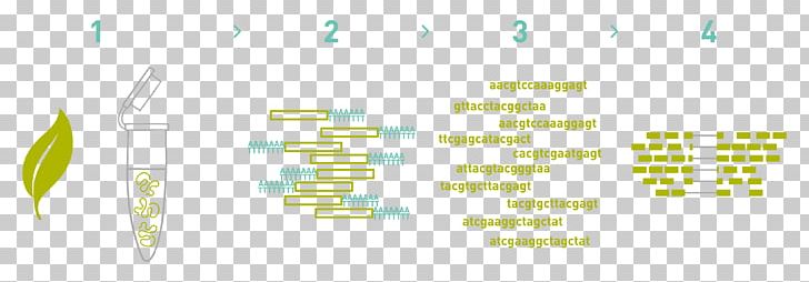 Graphic Design Paper Product Design Brand PNG, Clipart, Angle, Area, Biological Material, Brand, Diagram Free PNG Download