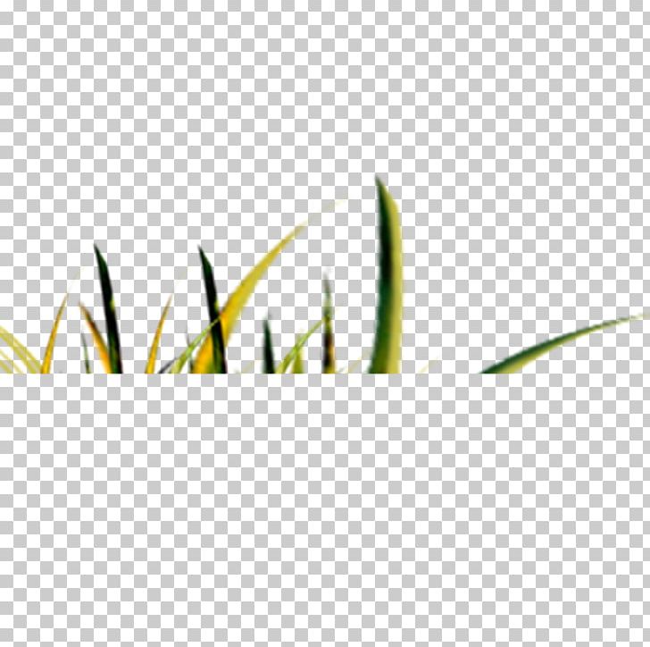 Green Pattern PNG, Clipart, Angle, Artificial Grass, Cartoon Grass, Creative Grass, Grass Free PNG Download
