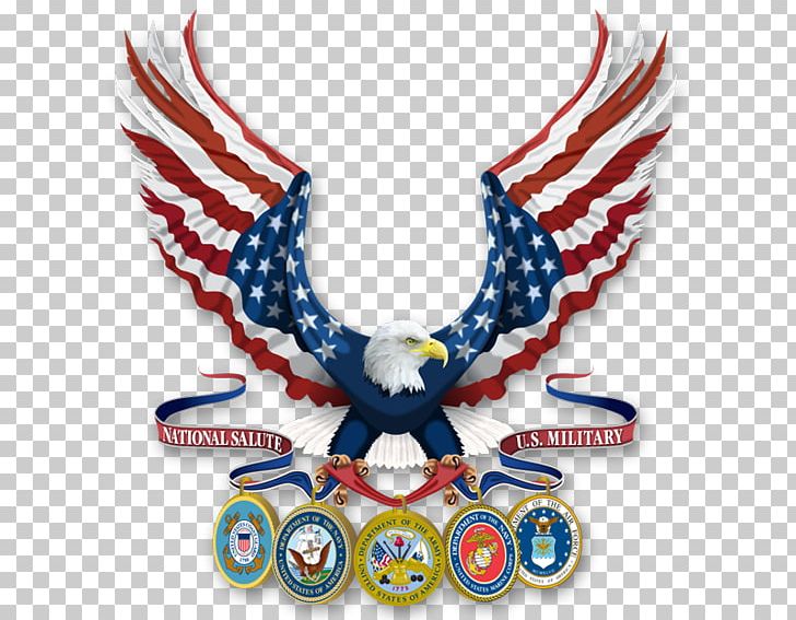 Epilepsy Foundation Of Ky In Military Vietnam Veteran United States Armed Forces PNG, Clipart, Beak, Be Careful, Bird, Bird Of Prey, Epilepsy Foundation Free PNG Download