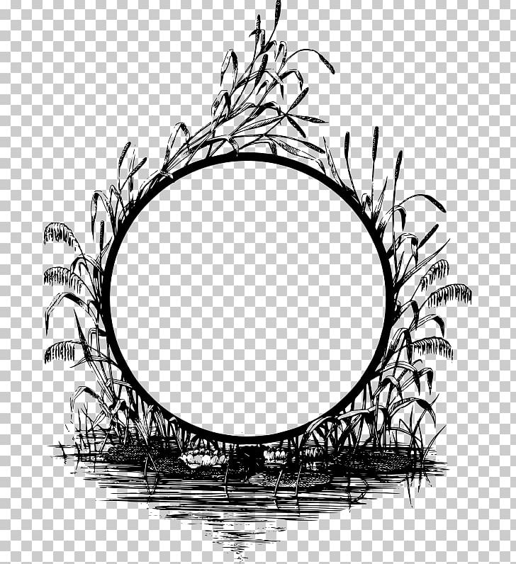Frames Drawing PNG, Clipart, Art, Art Design, Black And White, Branch, Circle Free PNG Download