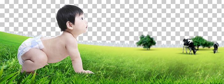 Lawn Human Behavior Toddler Nature PNG, Clipart, Babies, Baby, Baby Animals, Baby Announcement, Baby Announcement Card Free PNG Download