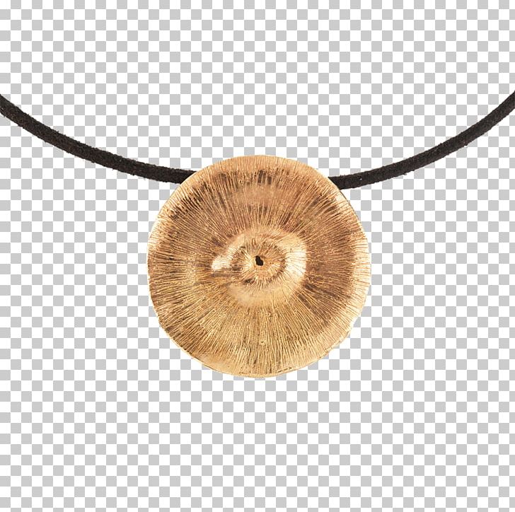 Necklace PNG, Clipart, Fashion, Fur, Jewellery, Necklace, Truffle Free PNG Download