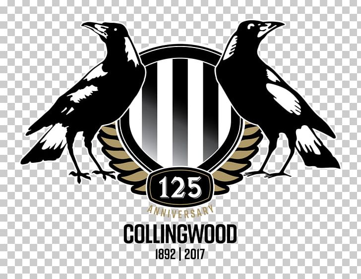 2018 Collingwood Football Club Season Westpac Centre 2017 AFL Season 2017 Collingwood Football Club Season PNG, Clipart, 2017, 2017 Afl Season, Afl, Australian Football League, Beak Free PNG Download