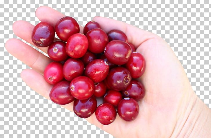 Cranberry Juice Cranberry Juice Frutti Di Bosco PNG, Clipart, Berries, Berry, Bosco, Cherry, Computer Icons Free PNG Download