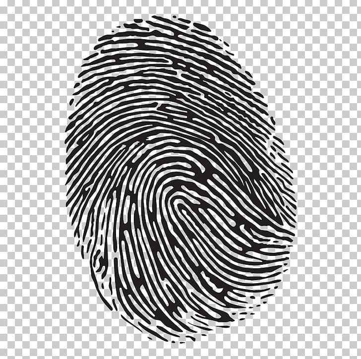 Fingerprint Crime Scene Forensic Science CSI Effect PNG, Clipart, Automotive Tire, Biometrics, Black, Black And White, Circle Free PNG Download