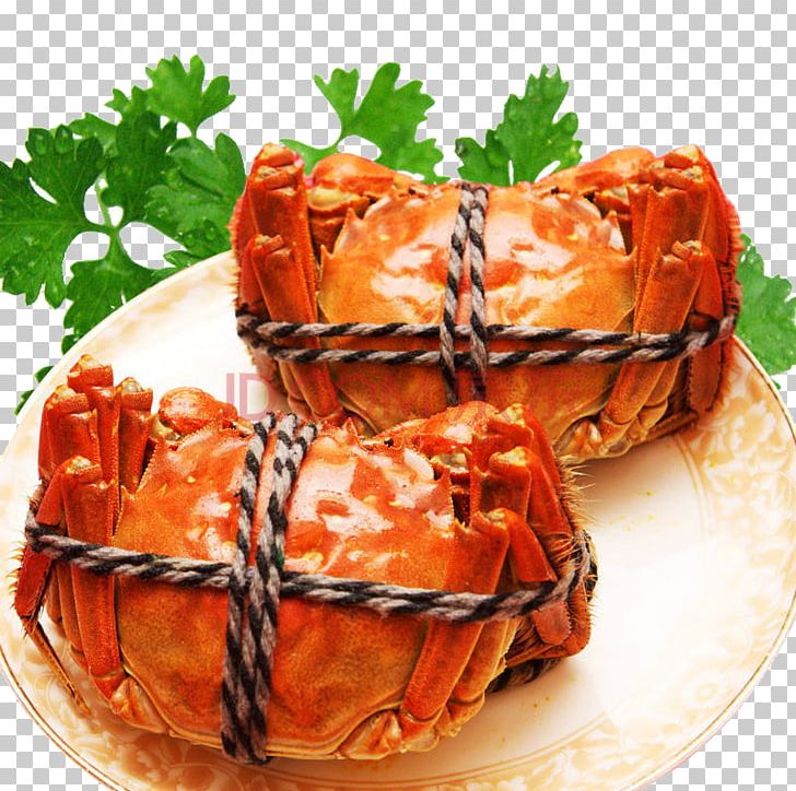 Yangcheng Lake Crab Chongming Island Chinese Cuisine Seafood PNG, Clipart, Animal Source Foods, Chinese Mitten Crab, Crab, Crab Meat, Cuisine Free PNG Download