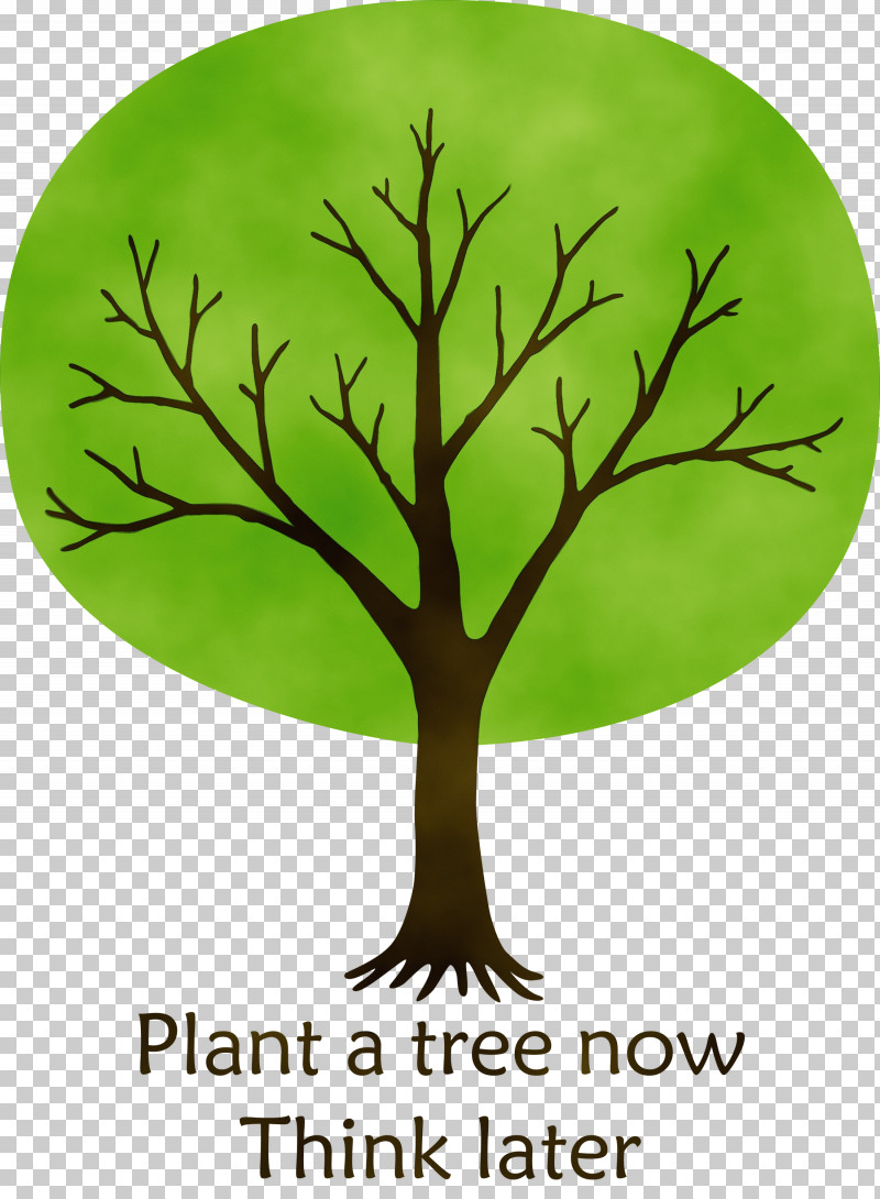 Arbor Day PNG, Clipart, Arbor Day, Arborist, Branch, Christmas Tree, Leaf Free PNG Download