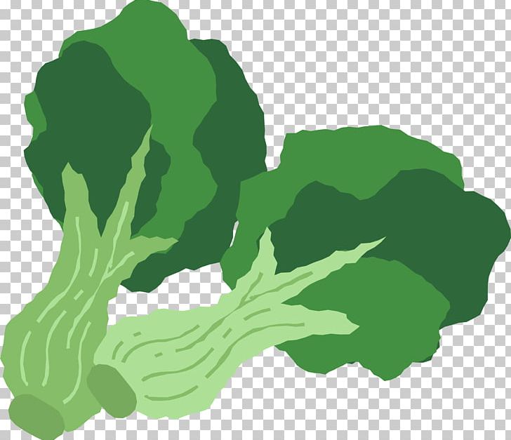 Broccoli Leaf Vegetable Food PNG, Clipart, Background Green, Broccoli, Dig, Food, Grass Free PNG Download