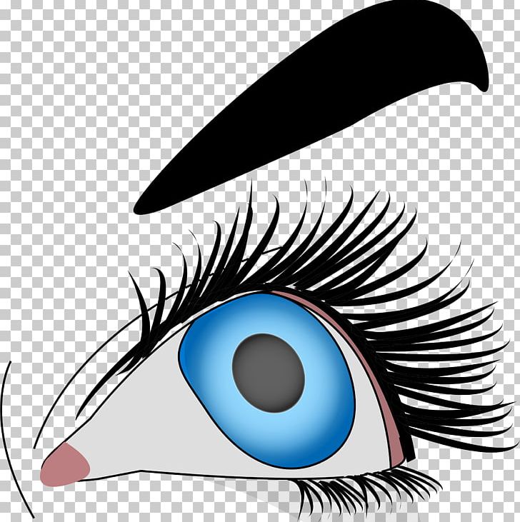 Eye Computer Icons PNG, Clipart, Artwork, Computer Icons, Eye, Eye Brow, Eyelash Free PNG Download