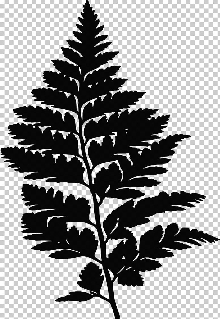 Fern Silhouette Leaf Drawing PNG, Clipart, Animals, Black And White, Branch, Drawing, Fern Free PNG Download