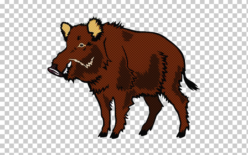 Boar Suidae Livestock Warthog Bison PNG, Clipart, Bison, Boar, Livestock, Snout, Suidae Free PNG Download