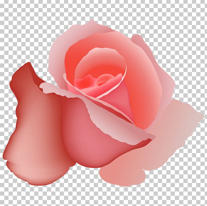 Graphics Euclidean Illustration Red Rose PNG, Clipart, Can Stock Photo, China Rose, Closeup, Cut Flowers, Drawing Free PNG Download