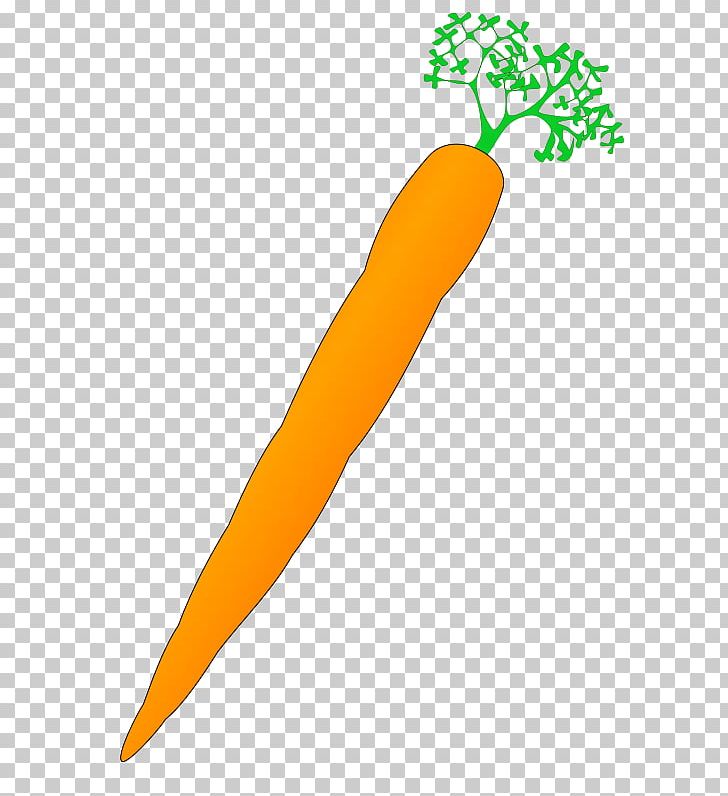 Margarita Baby Carrot PNG, Clipart, Baby Carrot, Carrot, Carrot Background Cliparts, Celery, Download Free PNG Download