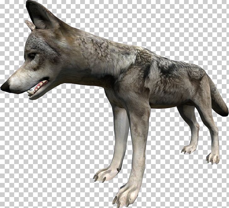 Saarloos Wolfdog Czechoslovakian Wolfdog Kunming Wolfdog DayZ Coyote PNG, Clipart, Alaskan Tundra Wolf, Animal, Black Wolf, Canis, Canis Lupus Tundrarum Free PNG Download