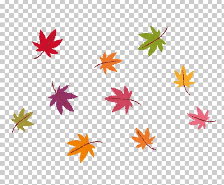 Autumn Leaf Color Photography Fotolia Caregiver PNG, Clipart, Autumn, Autumn Leaf Color, Caregiver, Color Photography, Flora Free PNG Download