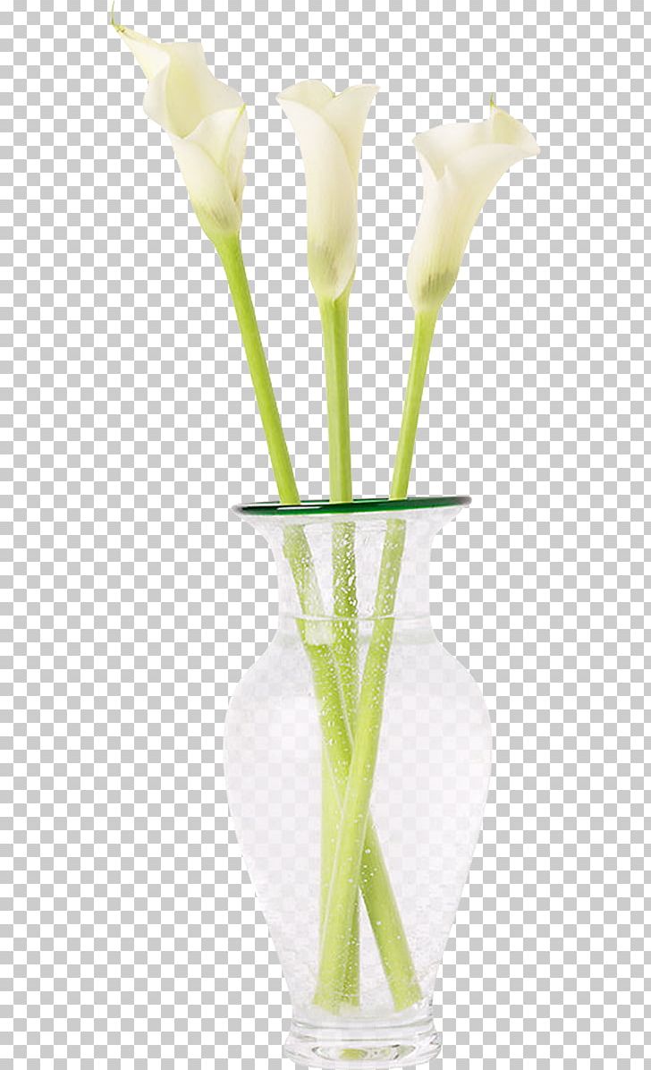 Floral Design Cut Flowers Vase Flower Bouquet PNG, Clipart, Artificial Flower, Arum, Calas, Calla, Cut Flowers Free PNG Download