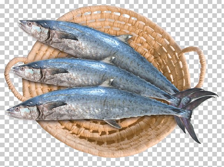 Saudi Arabia Bahrain Saudi Fisheries Narrow-barred Spanish Mackerel PNG, Clipart, Animals, Animal Source Foods, Bahrain, Bony Fish, Capelin Free PNG Download