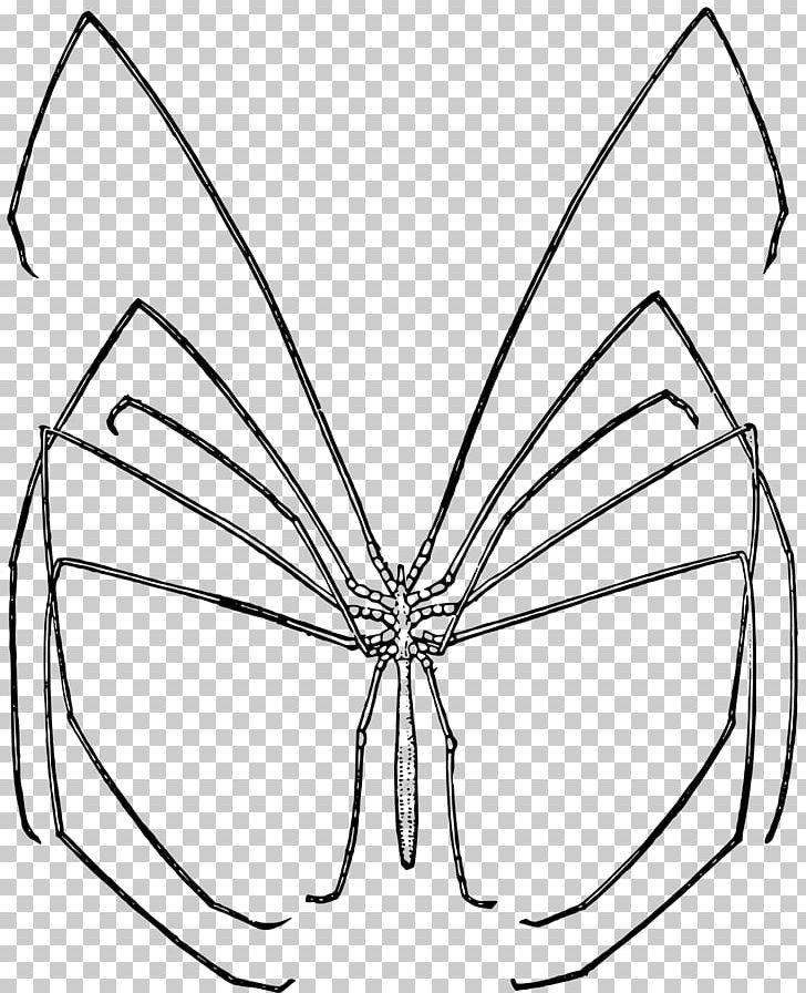 Spider Colossendeis Colossendeidae Arthropod PNG, Clipart, Angle, Area, Arthropod, Artwork, Biology Free PNG Download