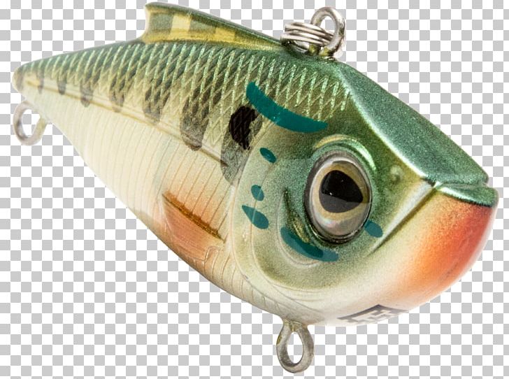 Spoon Lure Fishing Baits & Lures Plug Fishing Ledgers PNG, Clipart, Bait, Bigbox Store, Fish, Fishing, Fishing Bait Free PNG Download