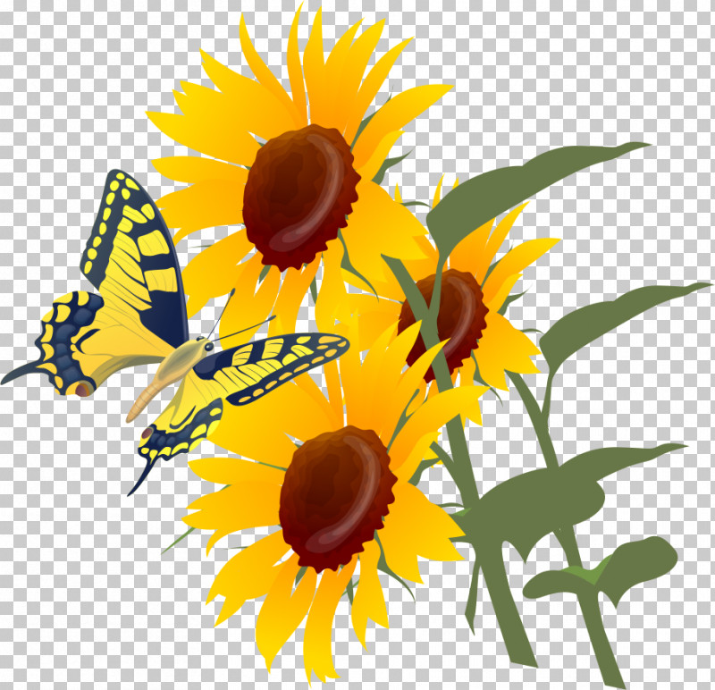 Sunflower Summer Flower PNG, Clipart, Bees, Common Sunflower, Honey, Honey Bee, Petal Free PNG Download