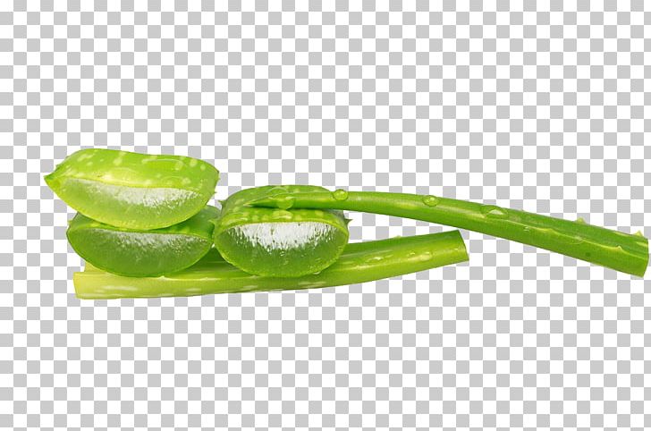 Aloe Euclidean PNG, Clipart, Aloe, Background Green, Beauty, Copyright, Download Free PNG Download