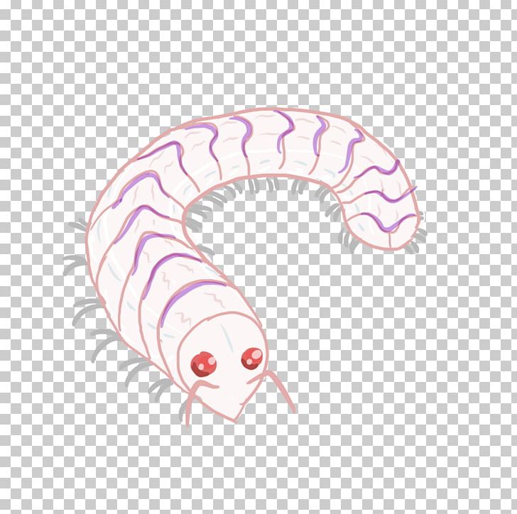 Worm Insect Pink M Mouth PNG, Clipart, Animals, Insect, Invertebrate, Millepede, Mouth Free PNG Download
