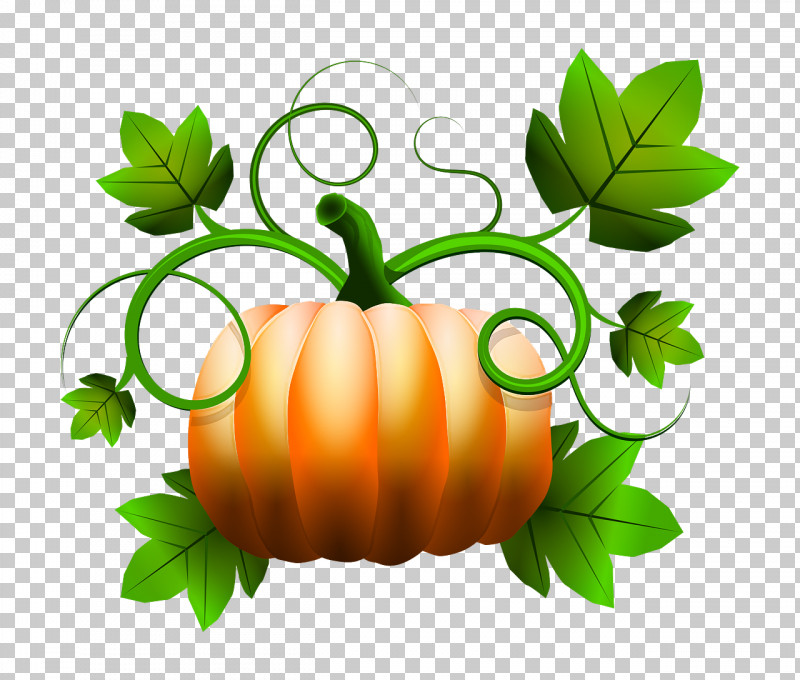 Pumpkin PNG, Clipart, Flower, Green, Herb, Leaf, Natural Foods Free PNG Download
