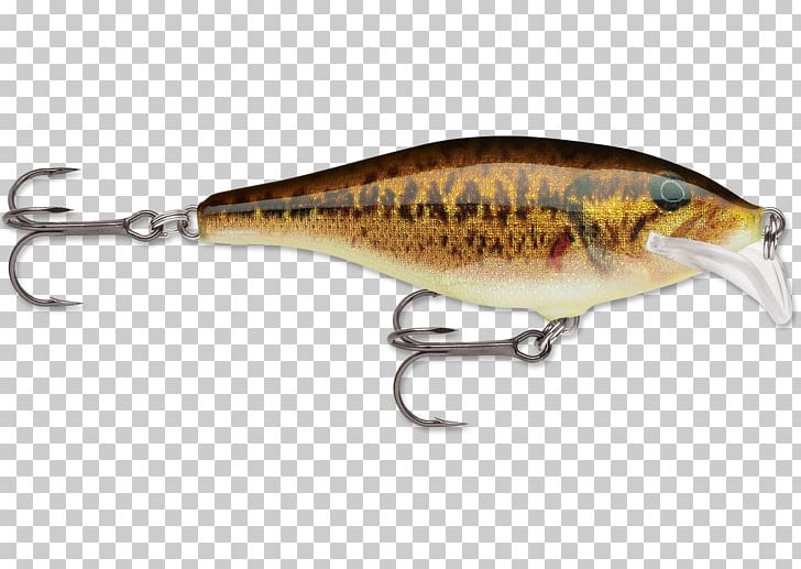 Rapala Fishing Baits & Lures Plug Smallmouth Bass PNG, Clipart, Amp, Bait,  Baits, Bass, Bass Fish