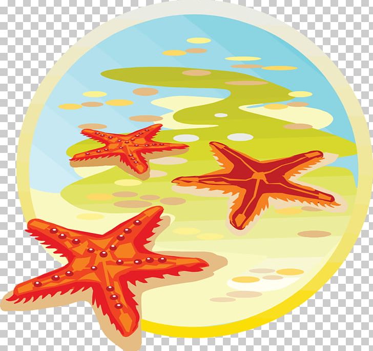 Starfish Sea Classe De Mer PNG, Clipart, Animals, Beautiful Starfish, Cartoon, Cartoon Starfish, Classe De Mer Free PNG Download