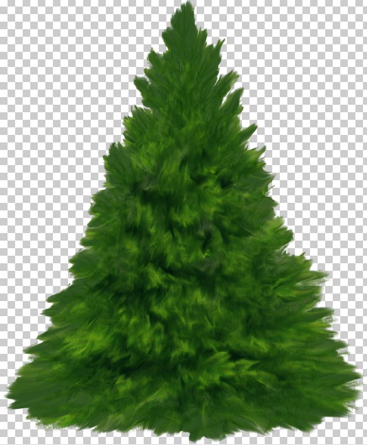 New Year Tree Christmas Day Yandex Russia PNG, Clipart, Biome, Christmas Day, Christmas Decoration, Christmas Tree, Conifer Free PNG Download
