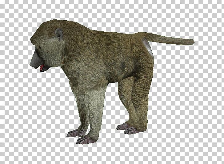 Zoo Tycoon 2 Macaque Olive Baboon Primate PNG, Clipart, Animalphotography, Animals, Baboon, Baboons, Catsagram Free PNG Download