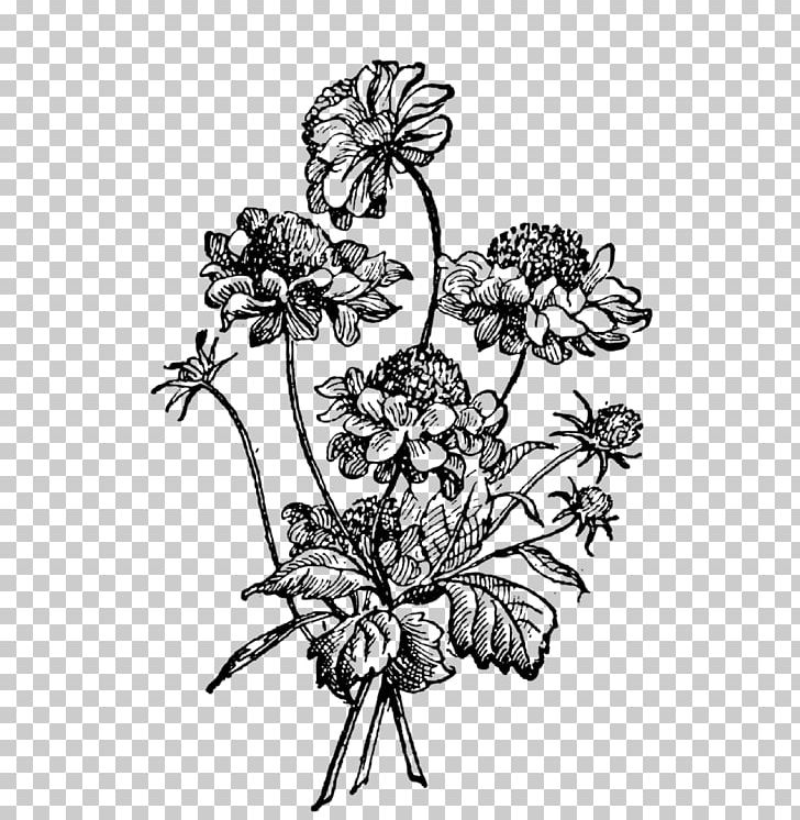 Drawing PNG, Clipart, Artwork, Black And White, Desktop Wallpaper, Fictional Character, Flower Free PNG Download