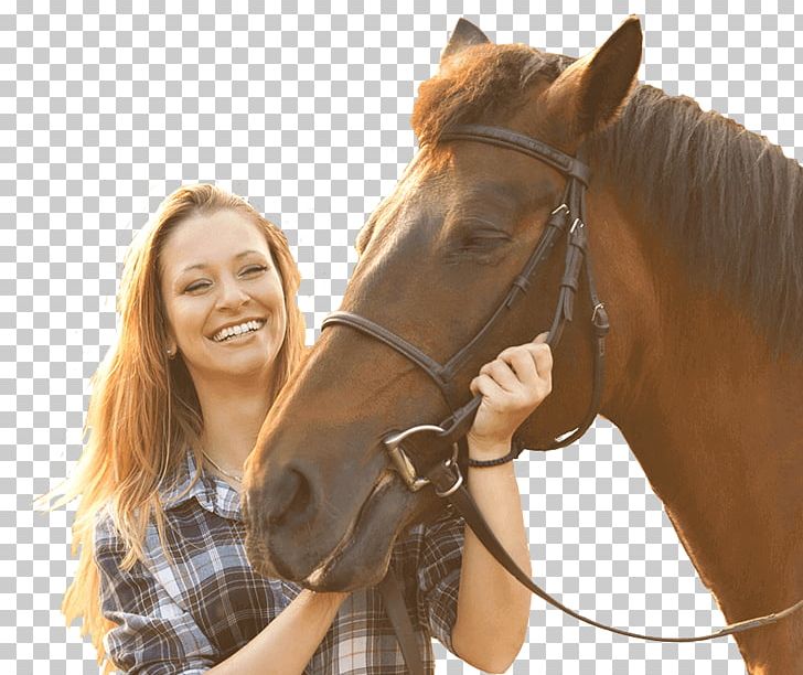 Horse Equestrian Bridle Leavenworth Stallion PNG, Clipart, Animals, Bridle, Equestrian, Halter, Horse Free PNG Download