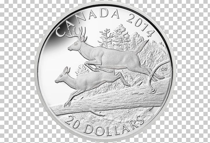 White-tailed Deer Reindeer Coin Silver PNG, Clipart, Antler, Bison, Black And White, Bullion, Cartoon Free PNG Download