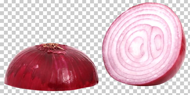White Onion Yellow Onion PNG, Clipart, Bulb, Food, Information, Magenta, Onion Free PNG Download