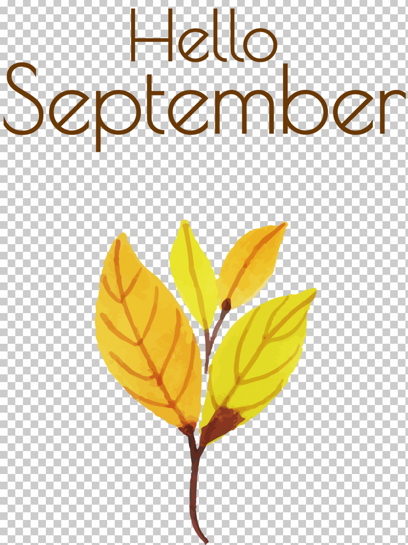 Hello September September PNG, Clipart, Biology, Flower, Hello September, Leaf, Meter Free PNG Download