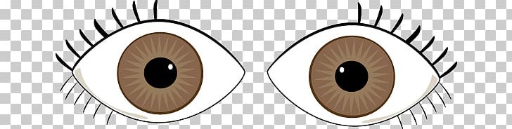 Eye Color PNG, Clipart, Brown Cliparts, Circle, Color, Drawing, Eye Free PNG Download