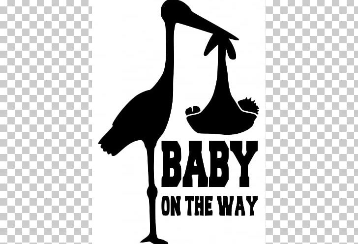 Infant White Stork Childbirth Family PNG, Clipart, Artwork, Beak, Bird, Birth, Birth Rate Free PNG Download