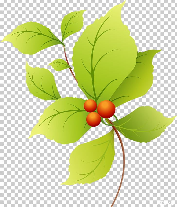 Leaf Collage PNG, Clipart, Branch, Cherry, Collage, Flowering Plant, Food Free PNG Download