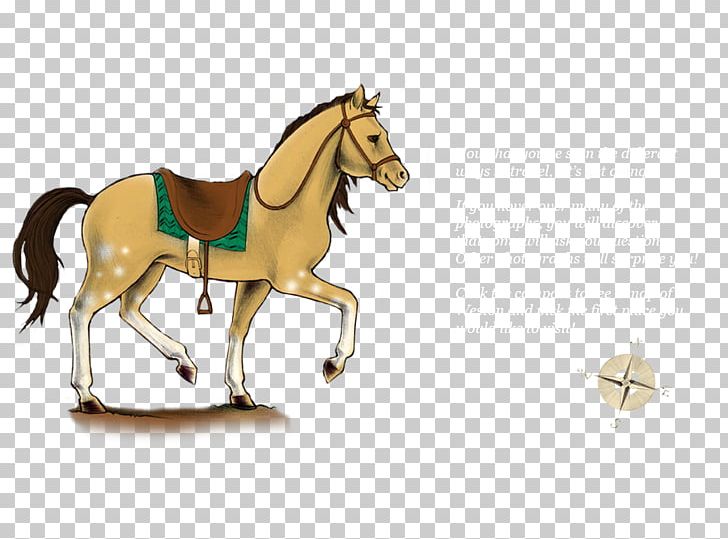 Mane Mustang Pony Stallion Halter PNG, Clipart, Bridle, Cartoon, Florida Kraze Krush Soccer Club, Halter, Harness Racing Free PNG Download