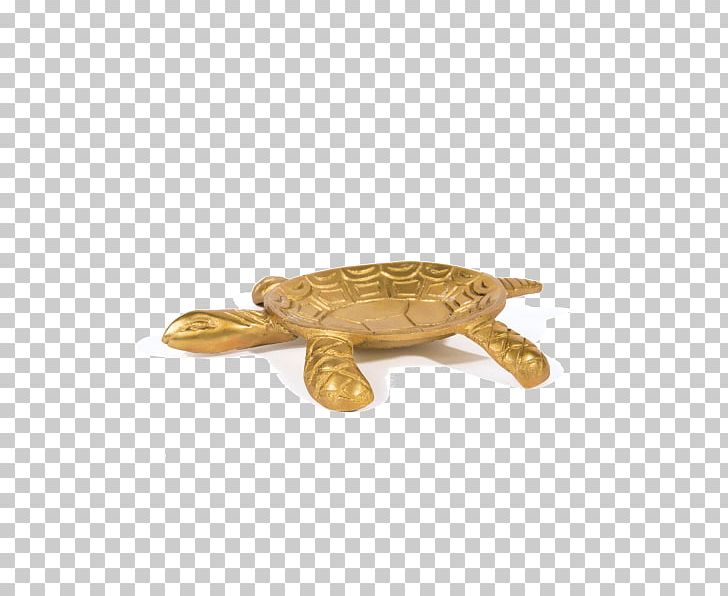 Sea Turtle Jewellery Kohl's Pond Turtles PNG, Clipart,  Free PNG Download