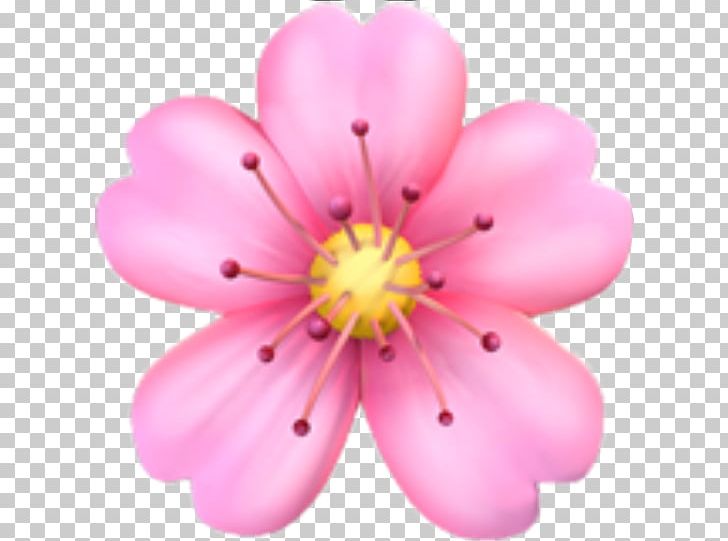Emojipedia Flower Emoji Domain PNG, Clipart, Apple Color Emoji, Blossom, Cherry Blossom, Domain, Emoji Free PNG Download