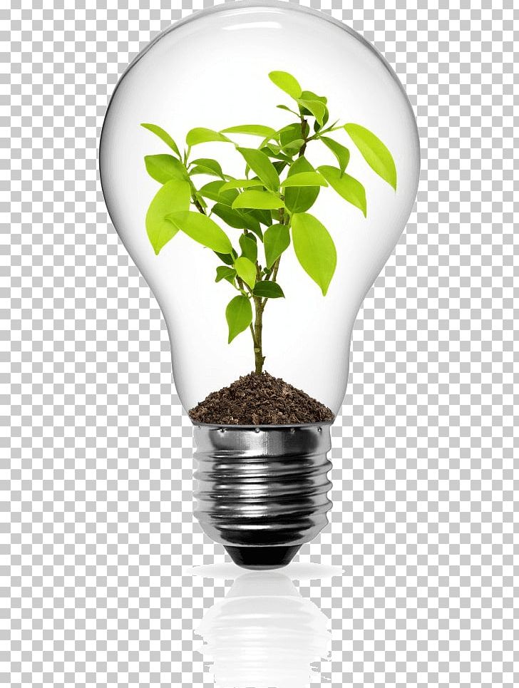 Seed Money Investment Venture Capital Business PNG, Clipart, Bulb, Business, Capital, Economic Development, Energy Free PNG Download