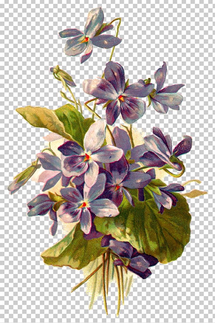 Flower Botanical Illustration Botany PNG, Clipart, Botanical Illustration, Botany, Clip Art, Cut Flowers, Download Free PNG Download