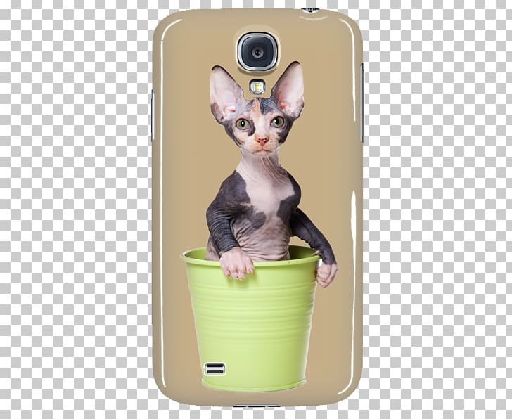 Whiskers Kitten Sphynx Cat Sock Necklace PNG, Clipart, Animals, Ankle, Carnivoran, Cat, Cat Like Mammal Free PNG Download