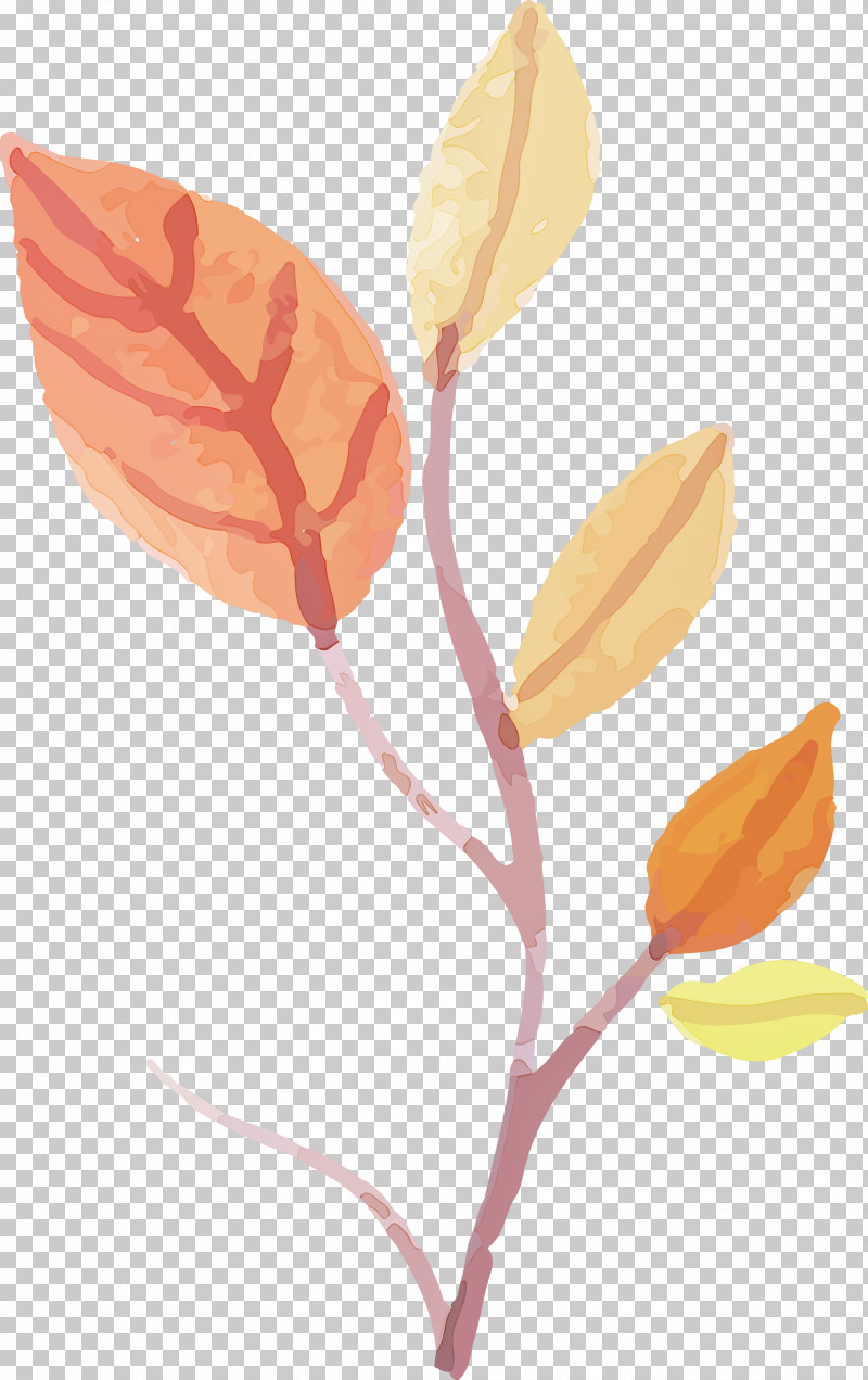 Floral Design PNG, Clipart, Biology, Branch, Crocus, Cut Flowers, Floral Design Free PNG Download