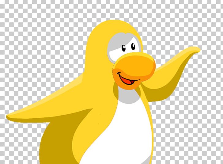 Club Penguin Duck Bird Southern Rockhopper Penguin PNG, Clipart, Animals, Beak, Bird, Cartoon, Club Penguin Free PNG Download