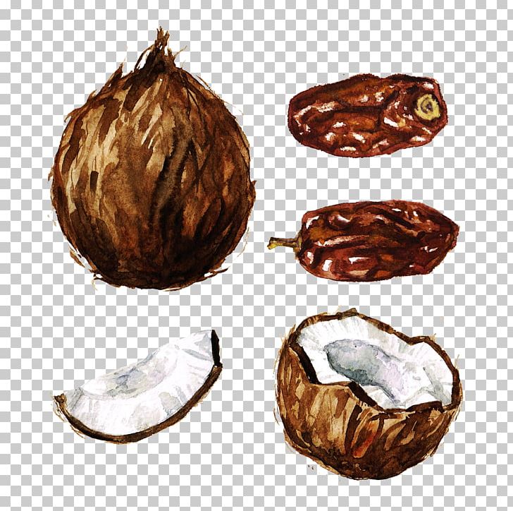 Coconut Watercolor Painting PNG, Clipart, Clip Art, Coconut, Depositphotos, Food, Fruit Free PNG Download