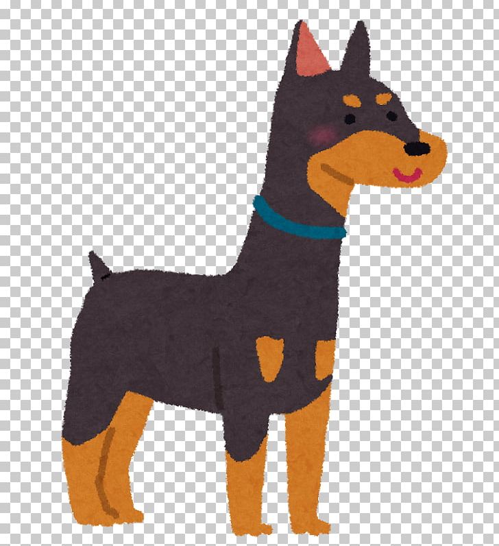 Dobermann Dog Food 胃拡張 Pet Police Dog PNG, Clipart,  Free PNG Download